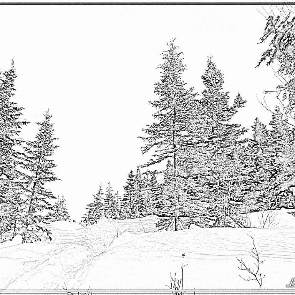 Звери на природе раскраска