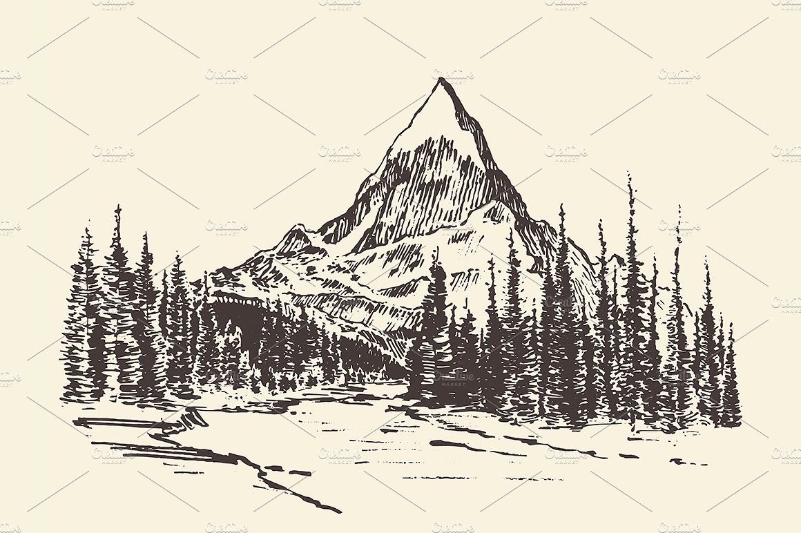 Лес раскраска для детей