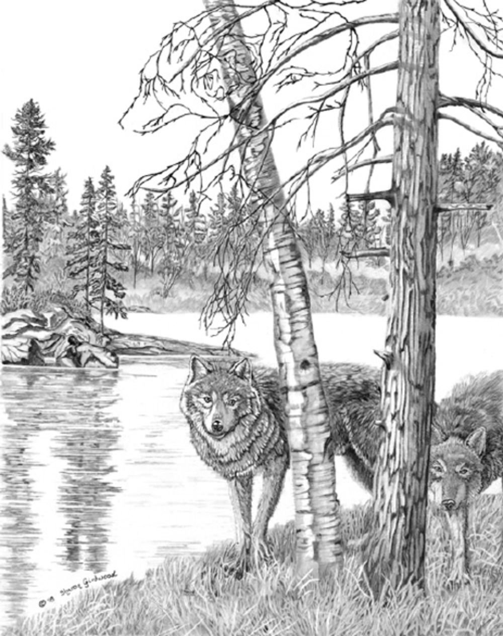 Раскраска олень в лесу