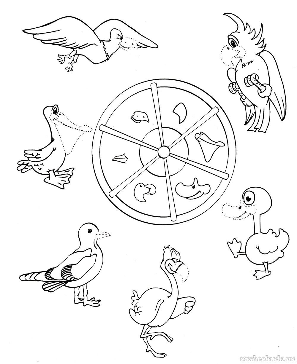 Чайка раскраска