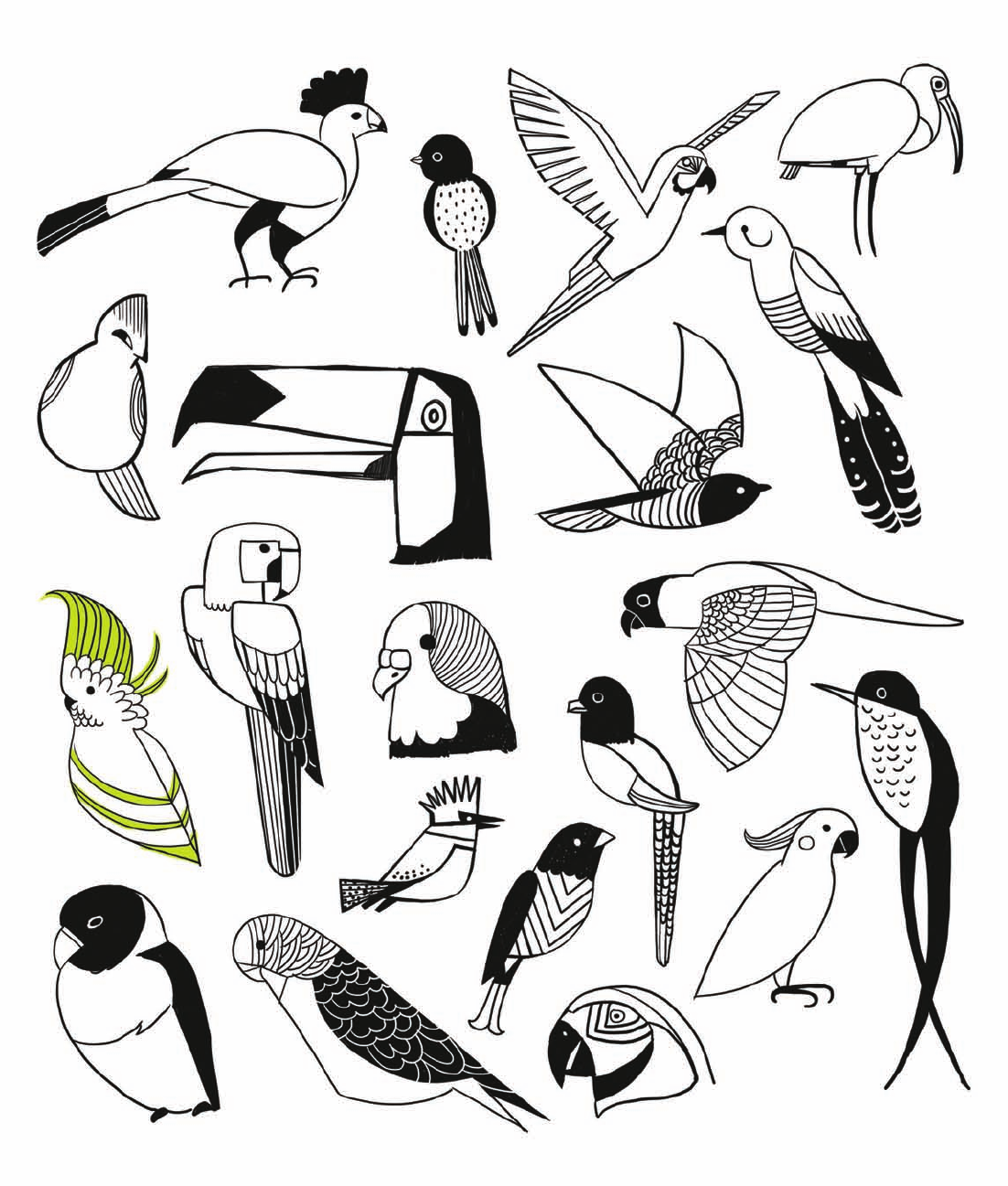 Птицы Арктики раскраска для детей