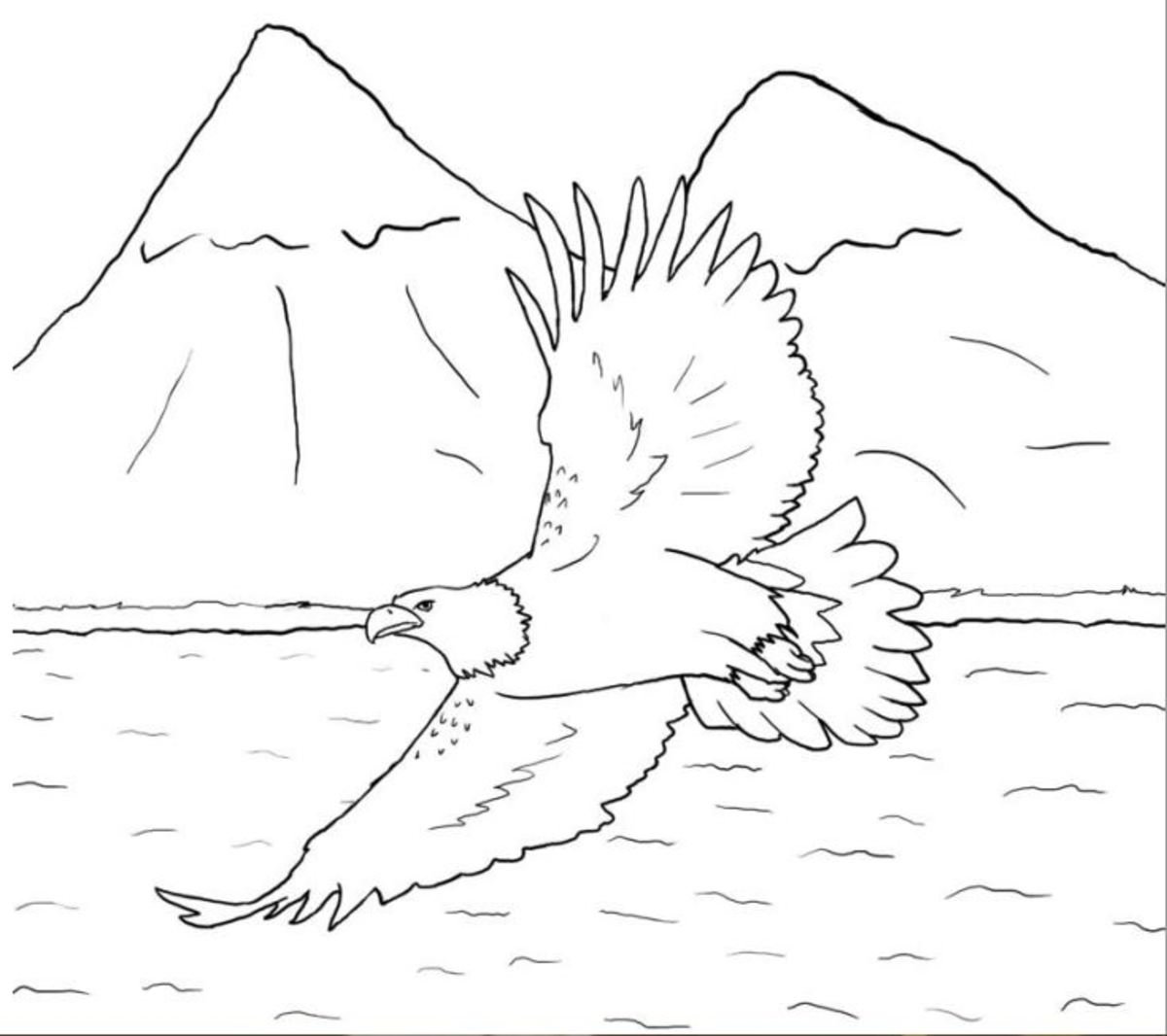 Бородатая неясыть раскраска