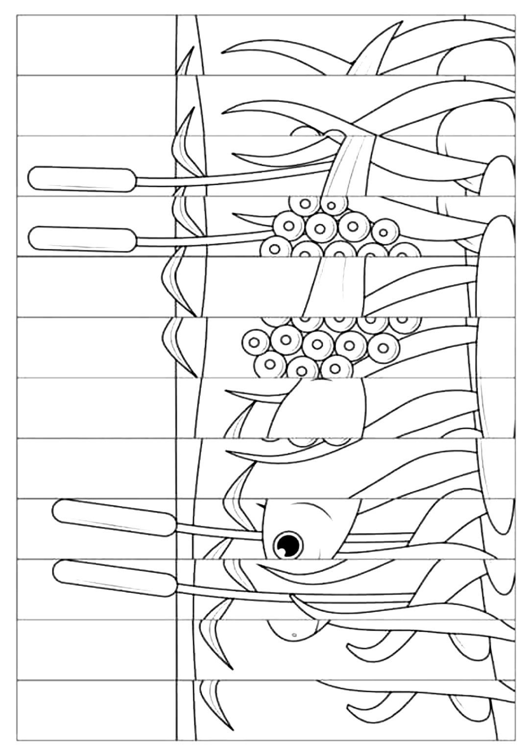 Раскраски агамографы для детей
