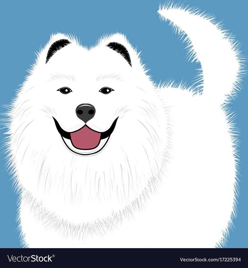 Японский шпиц