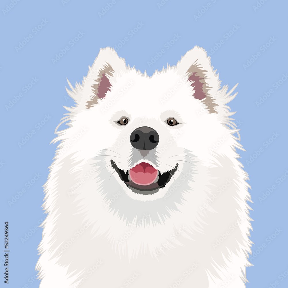 Собака самоед вектор