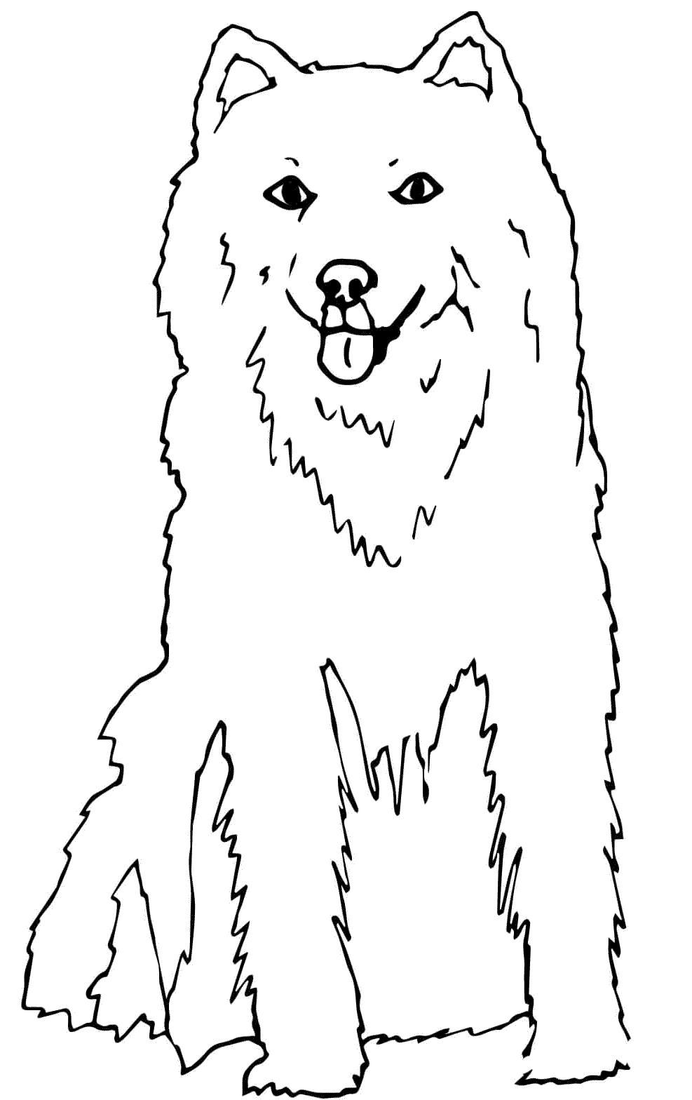 Самоедская лайка арт