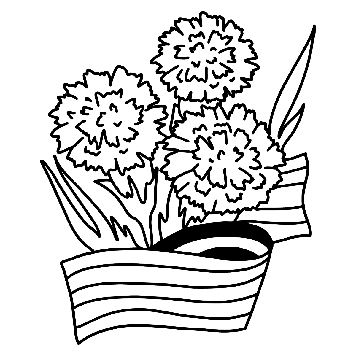 Гвоздики раскраска