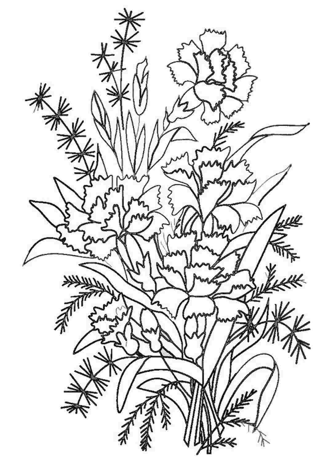 Гвоздики раскраска