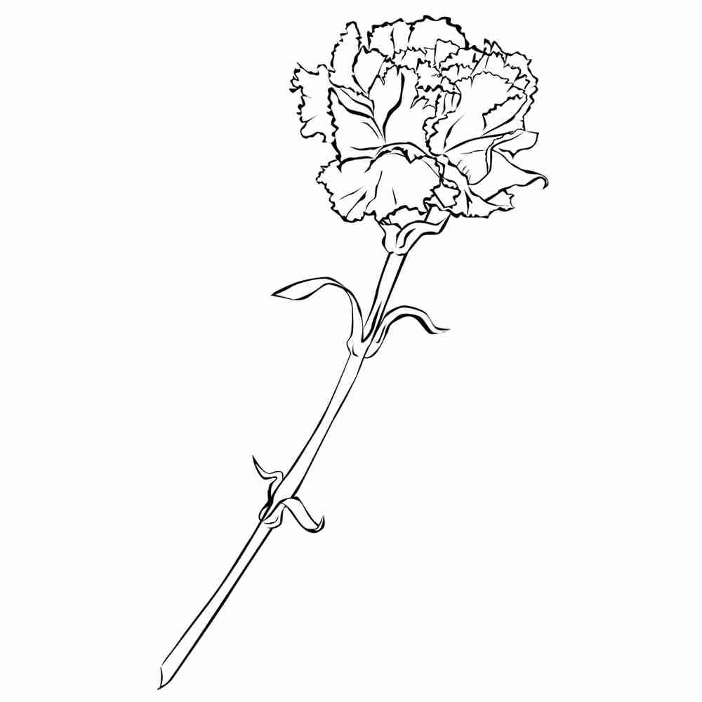 Букет полевых цветов раскраска