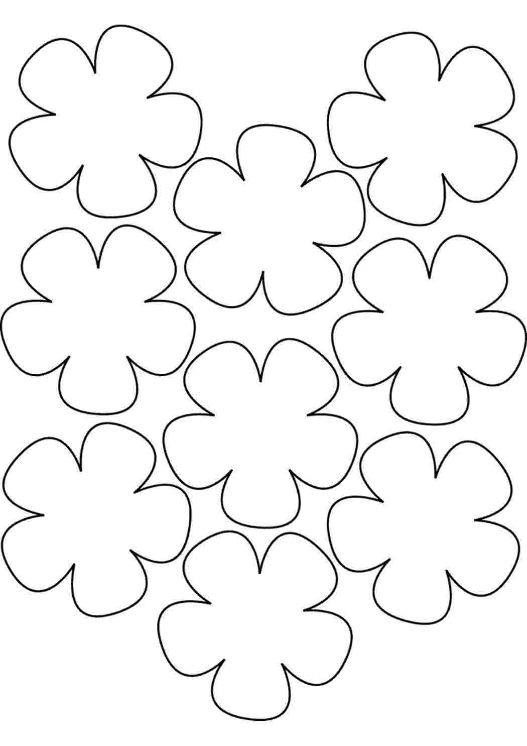 Шаблоны цветов для печати