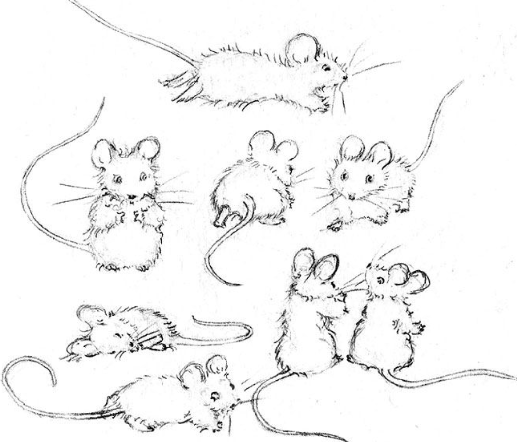 Раскраска мостик через речку