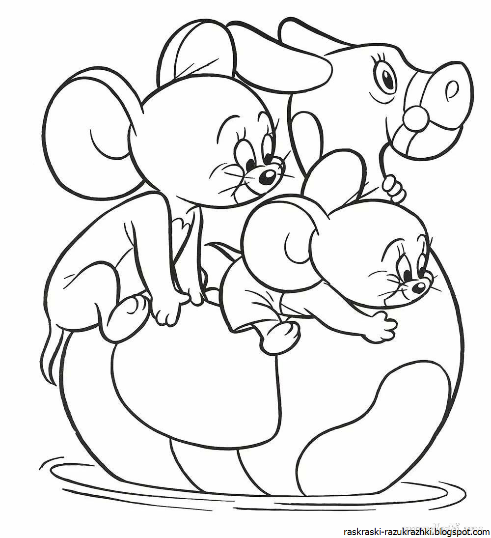 Крыса схематично