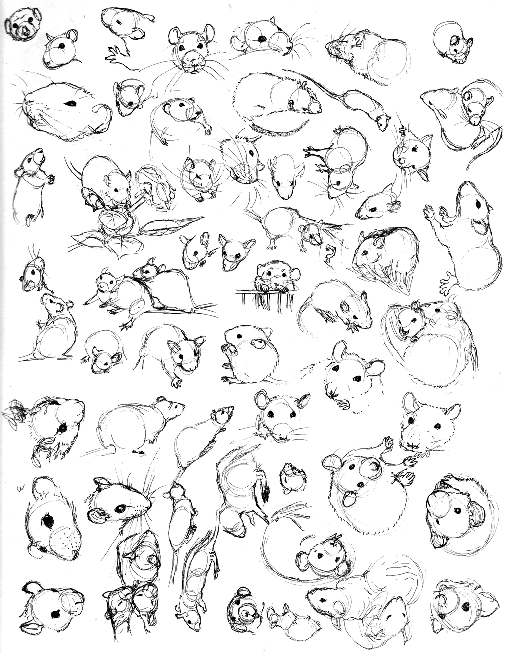 Раскраска дом изнутри