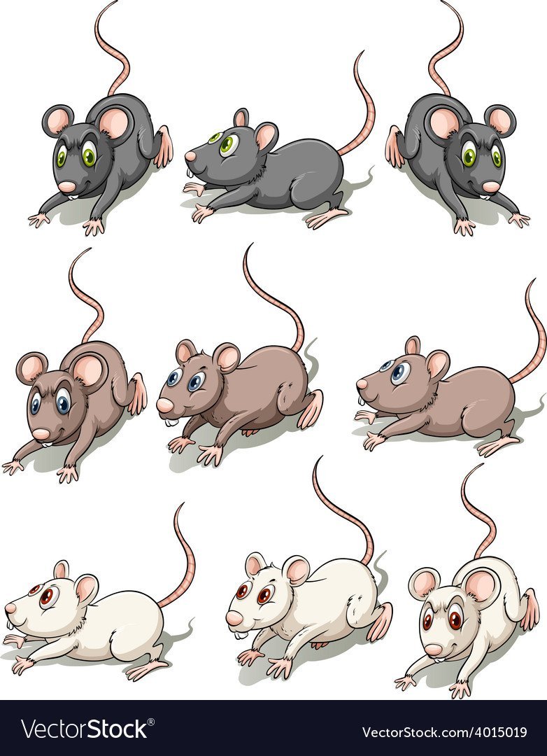 Раскраска мышонок