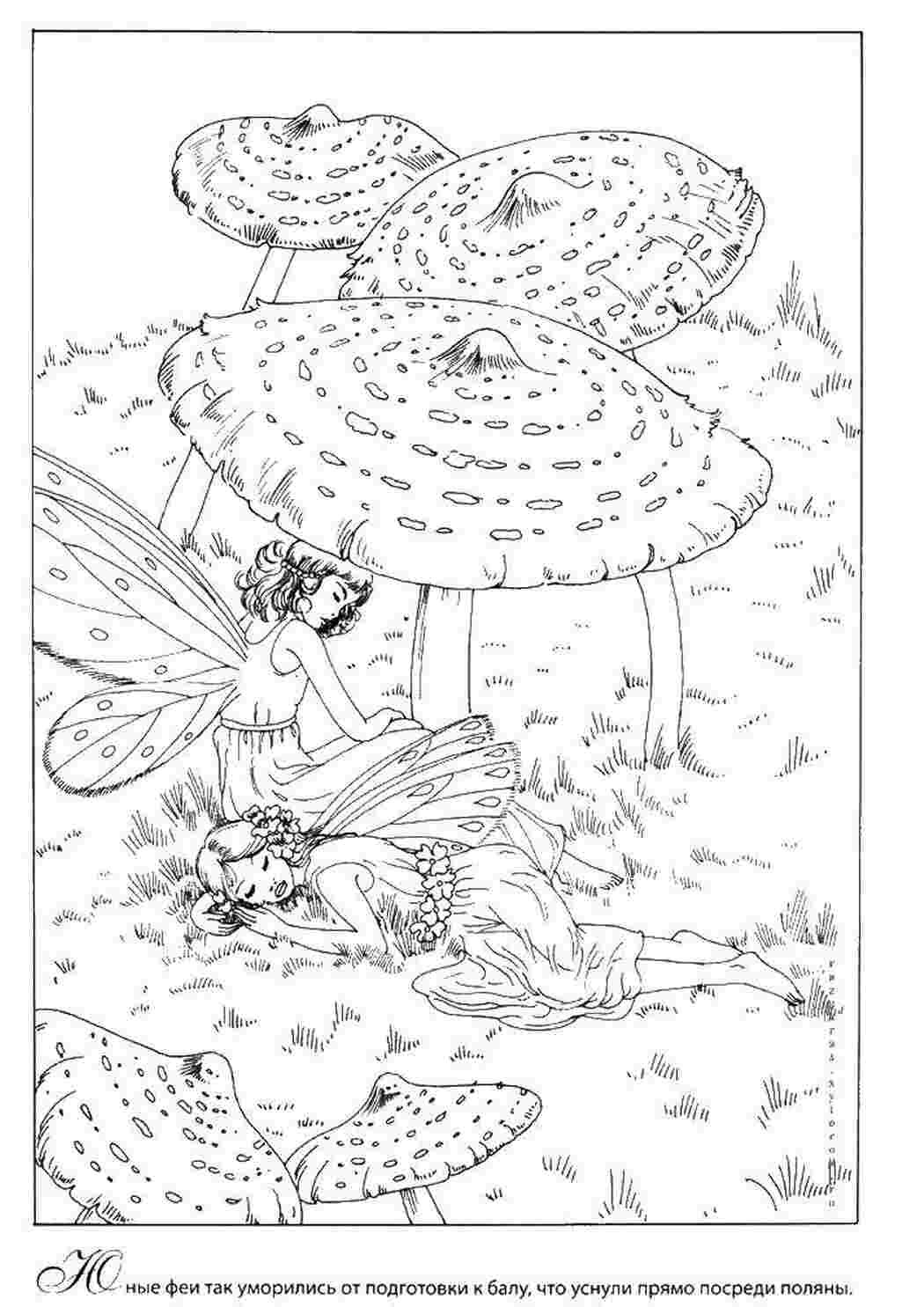 Раскраски для девочек мухомор