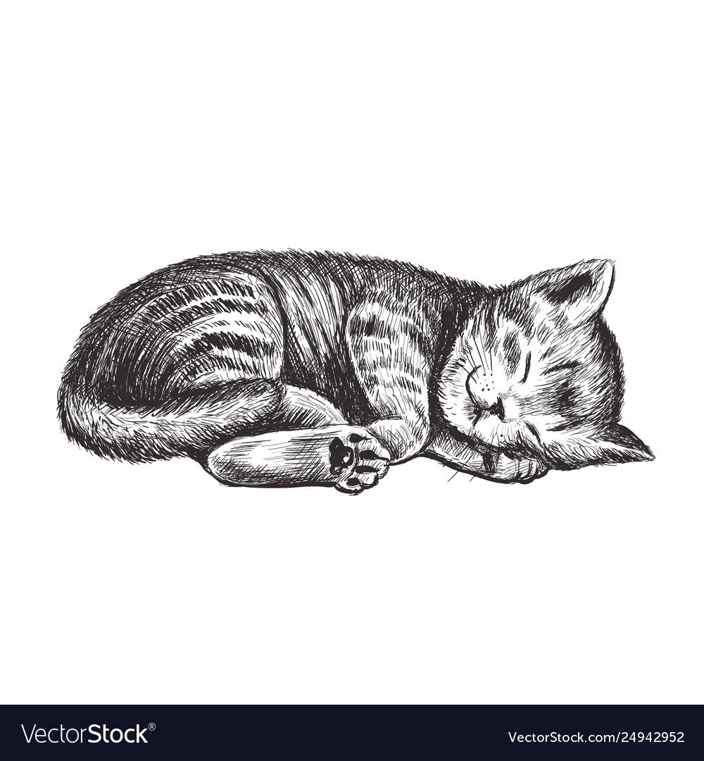 Стилизованный спящий кот