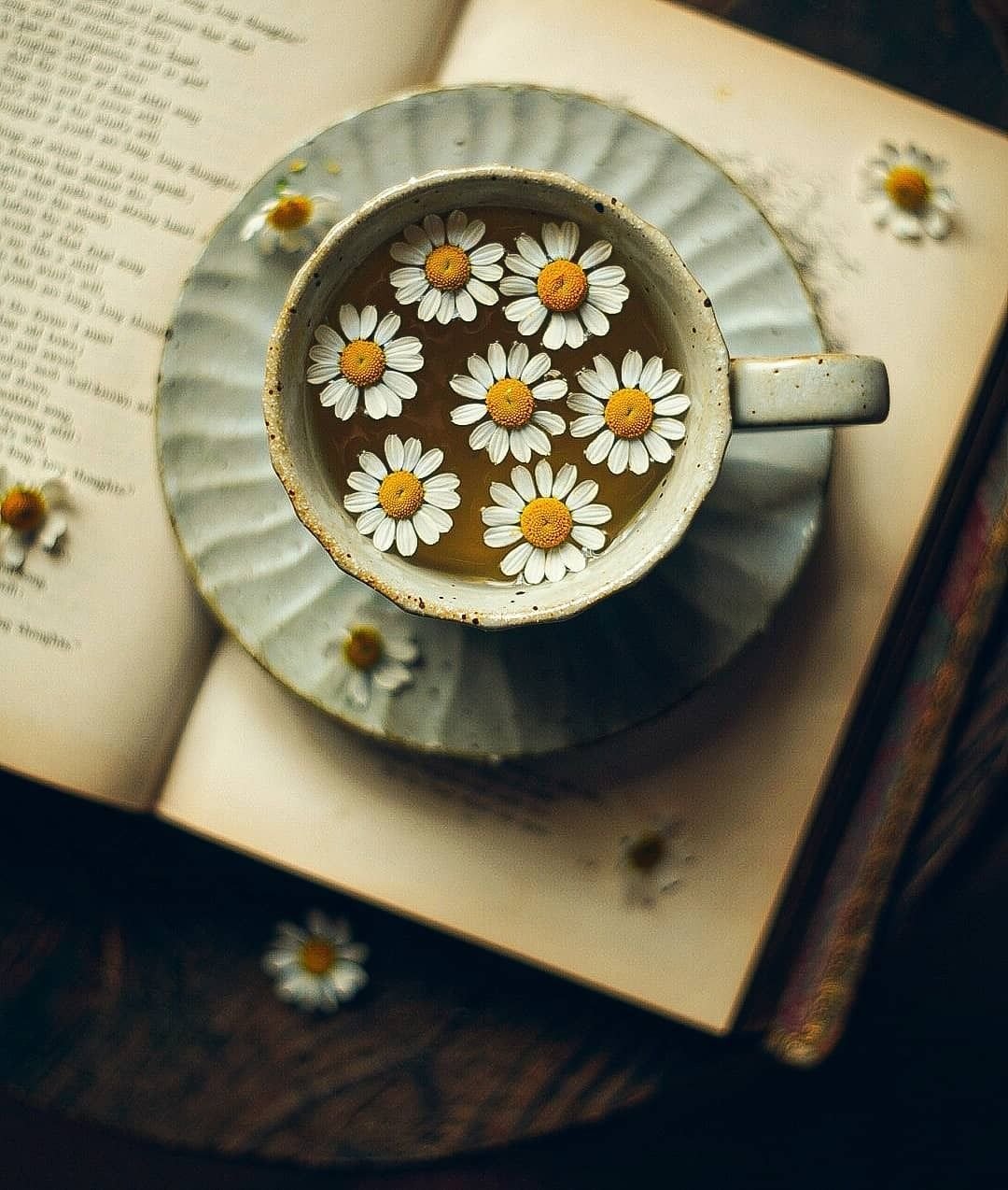 Иконки для актуального в Инстаграм Кокос