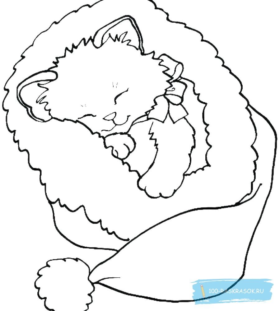 Раскраски кошки Единорожки