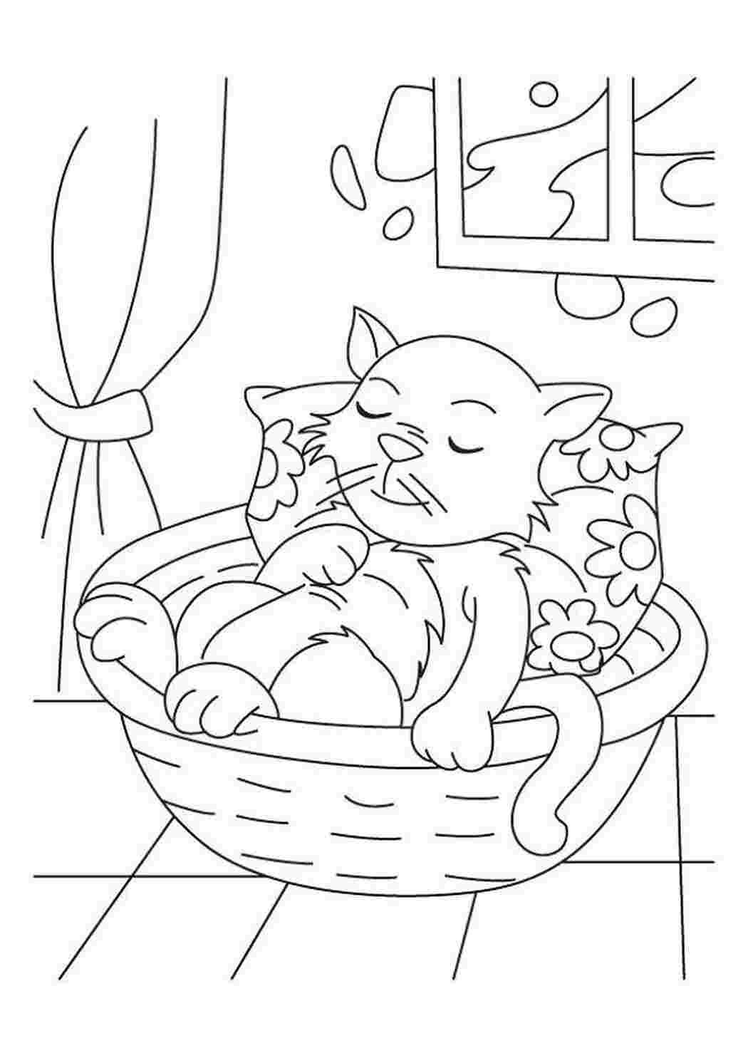 Раскраска кошечка на подушке