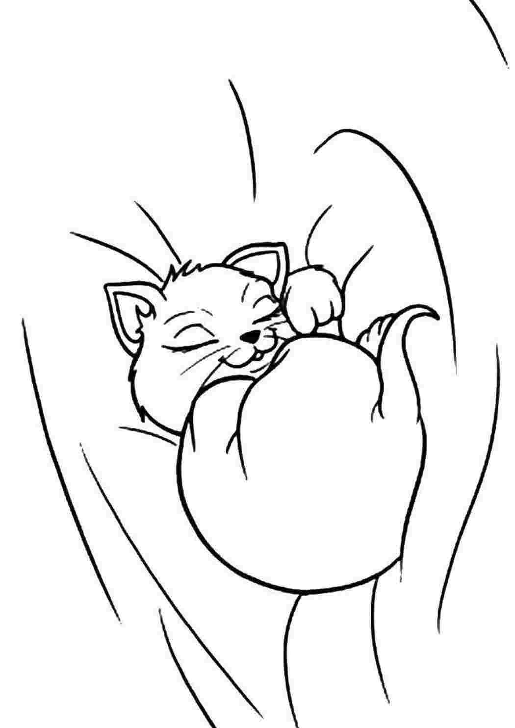 Кровать кот 900.1