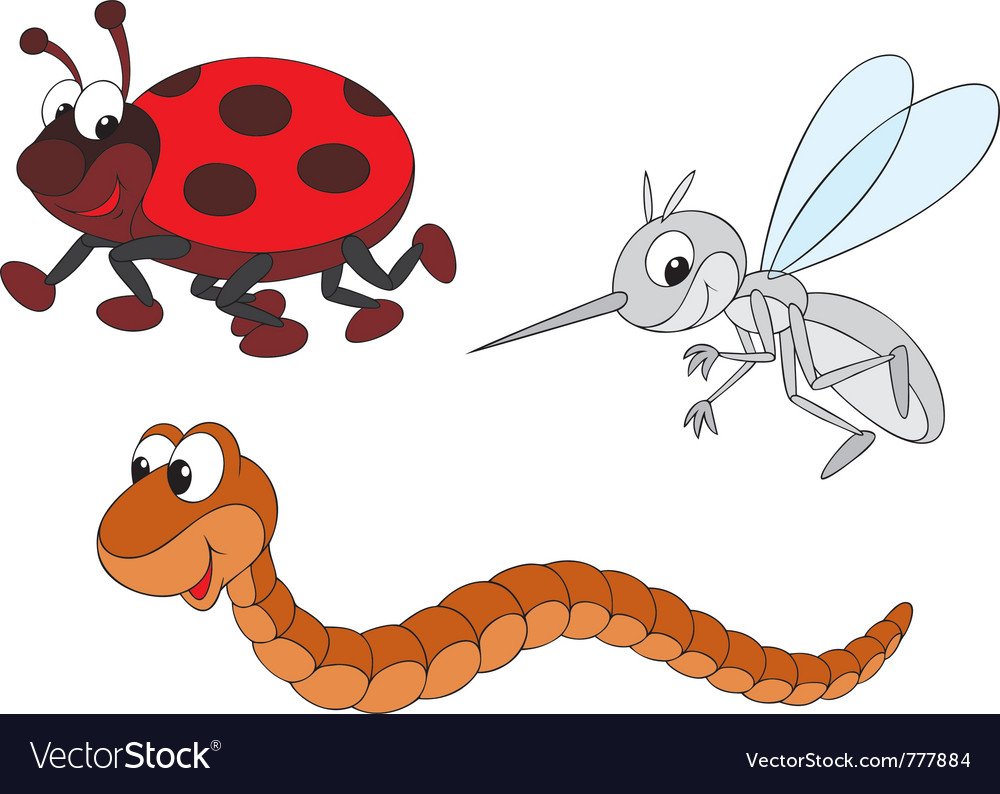 Влюбленный комар