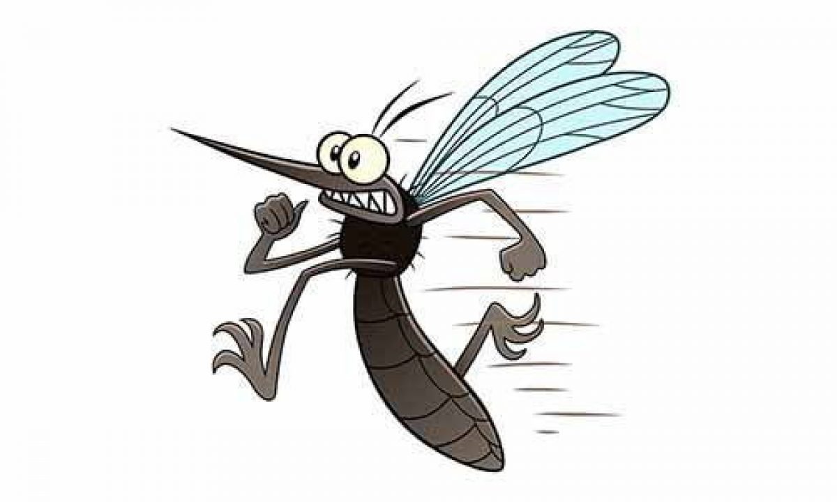 Комар черно-белая для детей на белом фоне