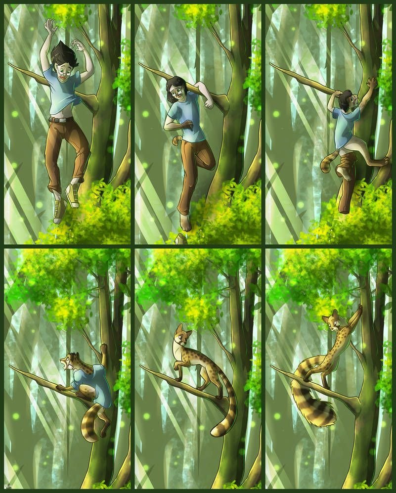 Трансформация в лесу