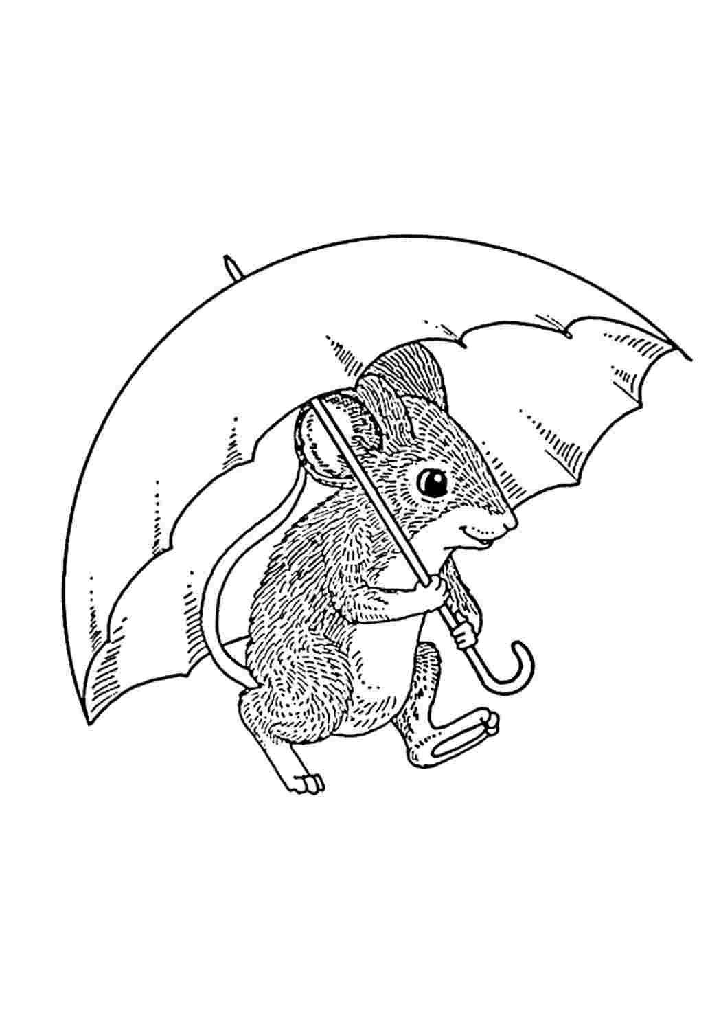 Раскраска пышка