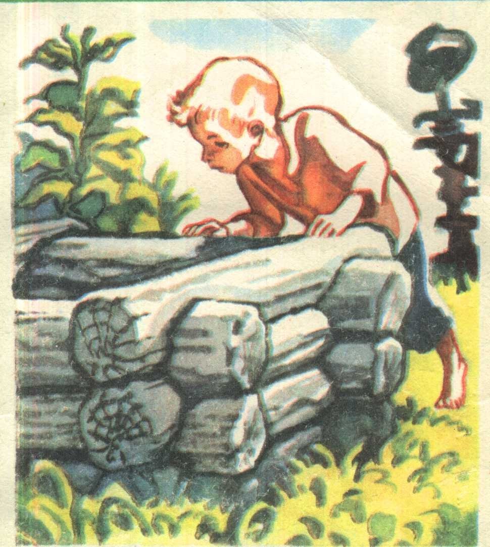 Платонов Никита