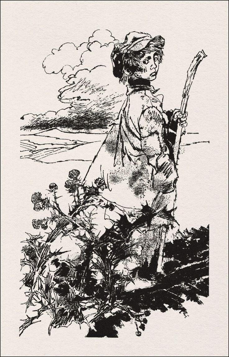 Новожилов иллюстратор