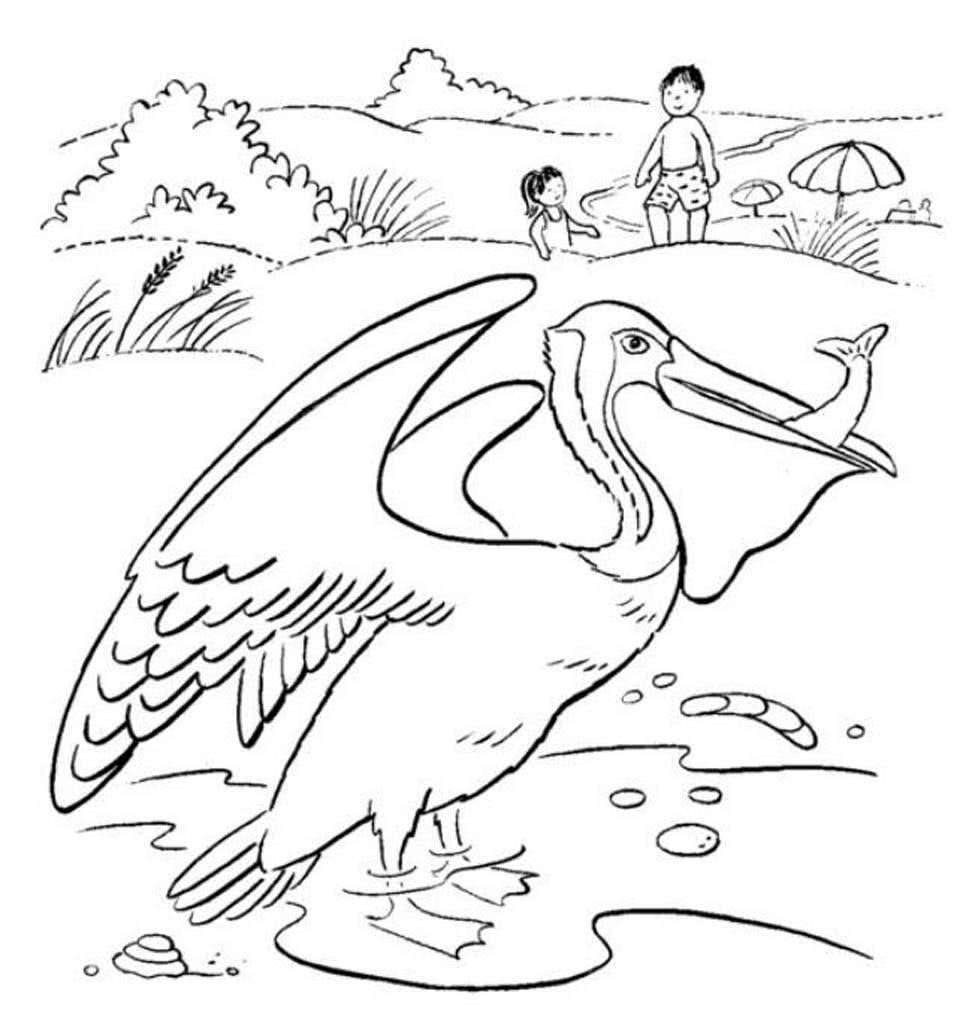 Чей нос лучше обложка