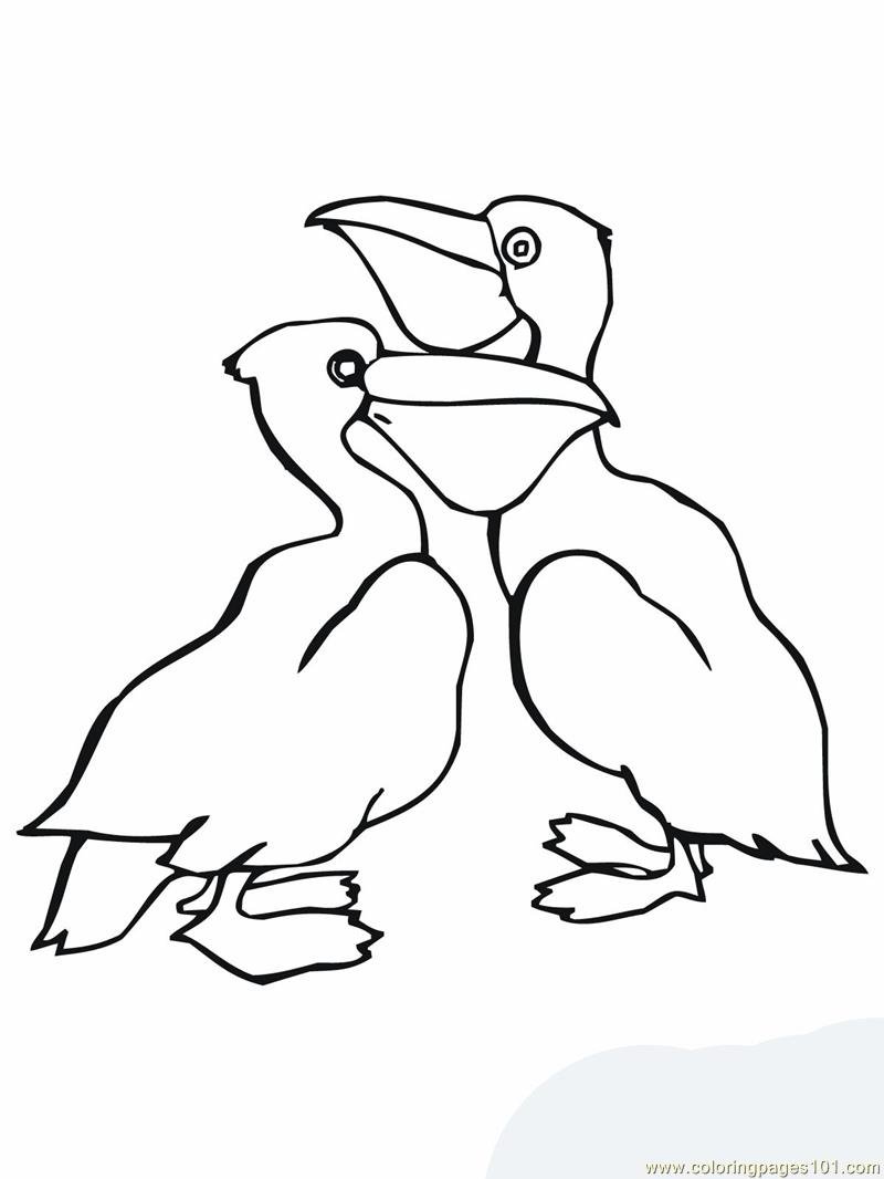 Иволга птица раскраска