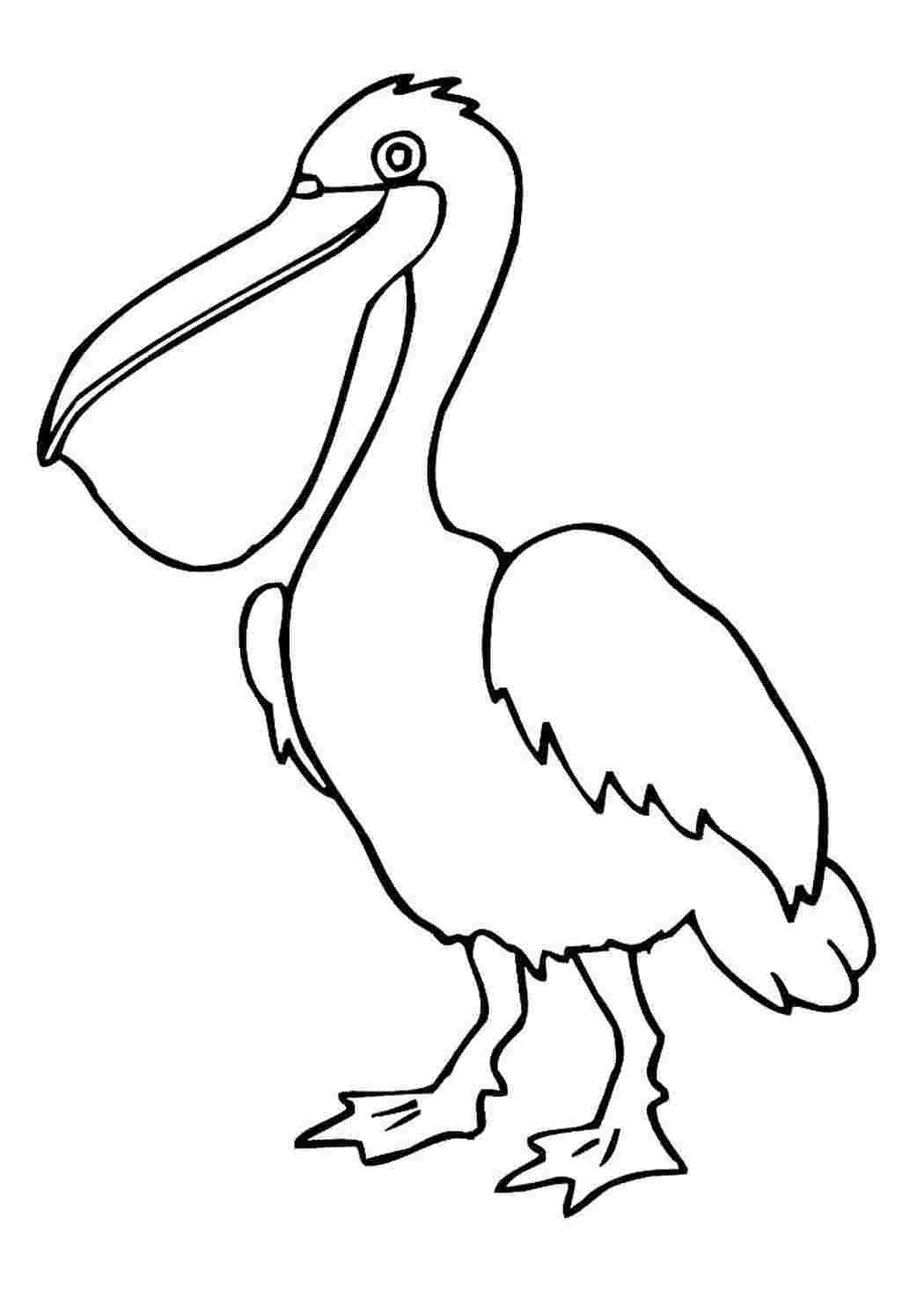 Раскраска чей нос лучше