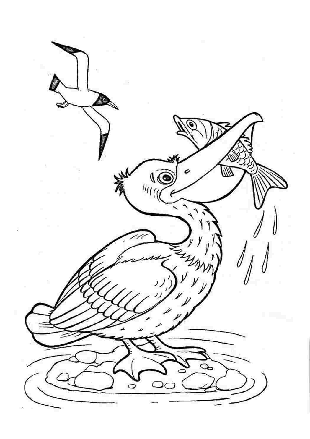 Чей нос лучше Бианки читательский дневник 1 класс