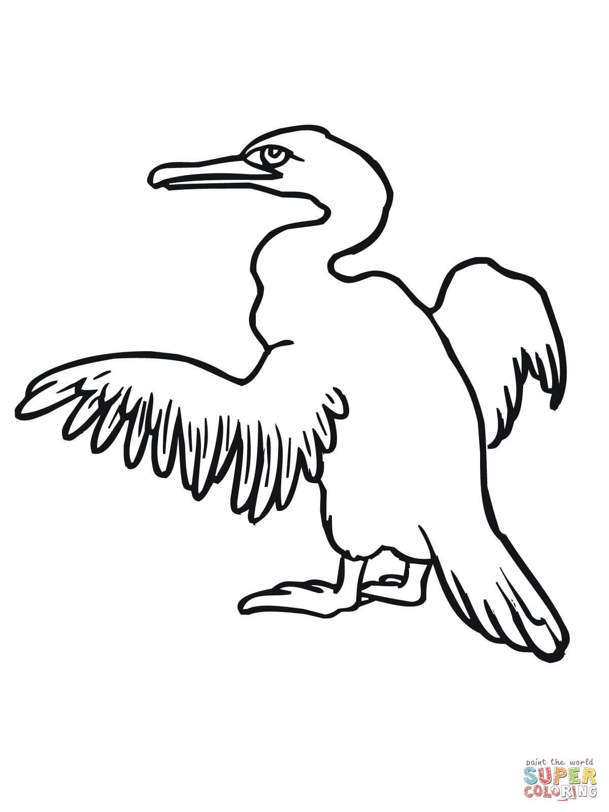 Клювы птиц для детей