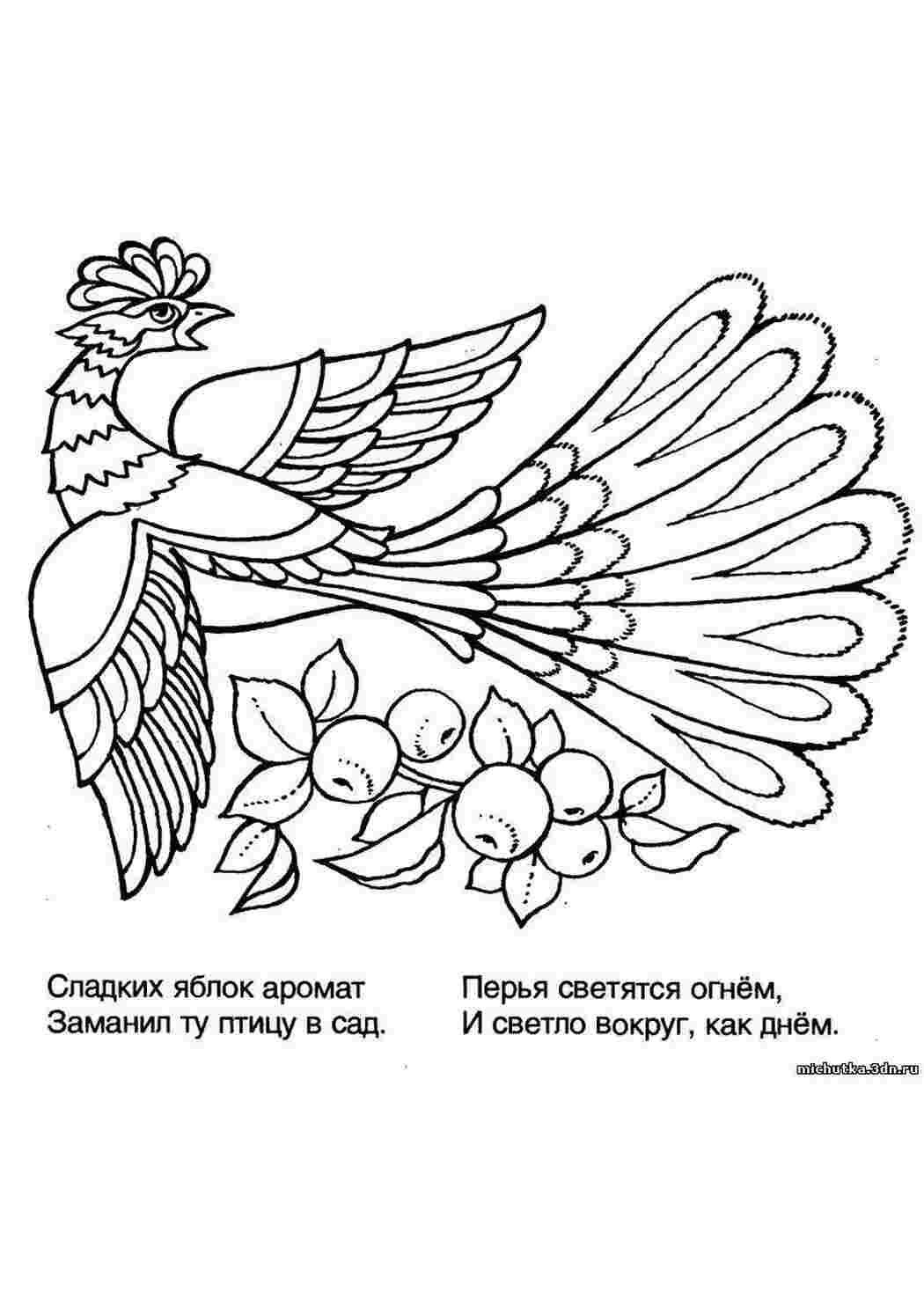 Жар птица раскраска для детей