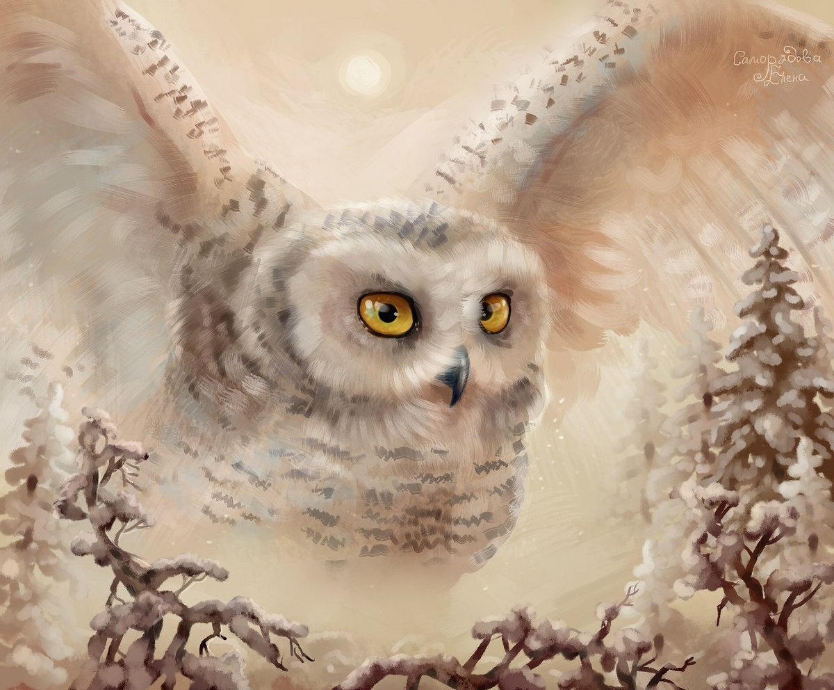 Саморядова Елена картины