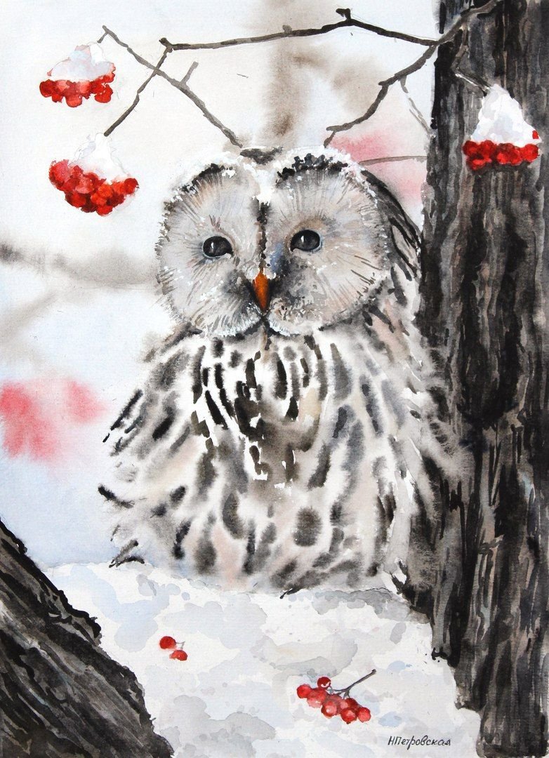 Сова зимой