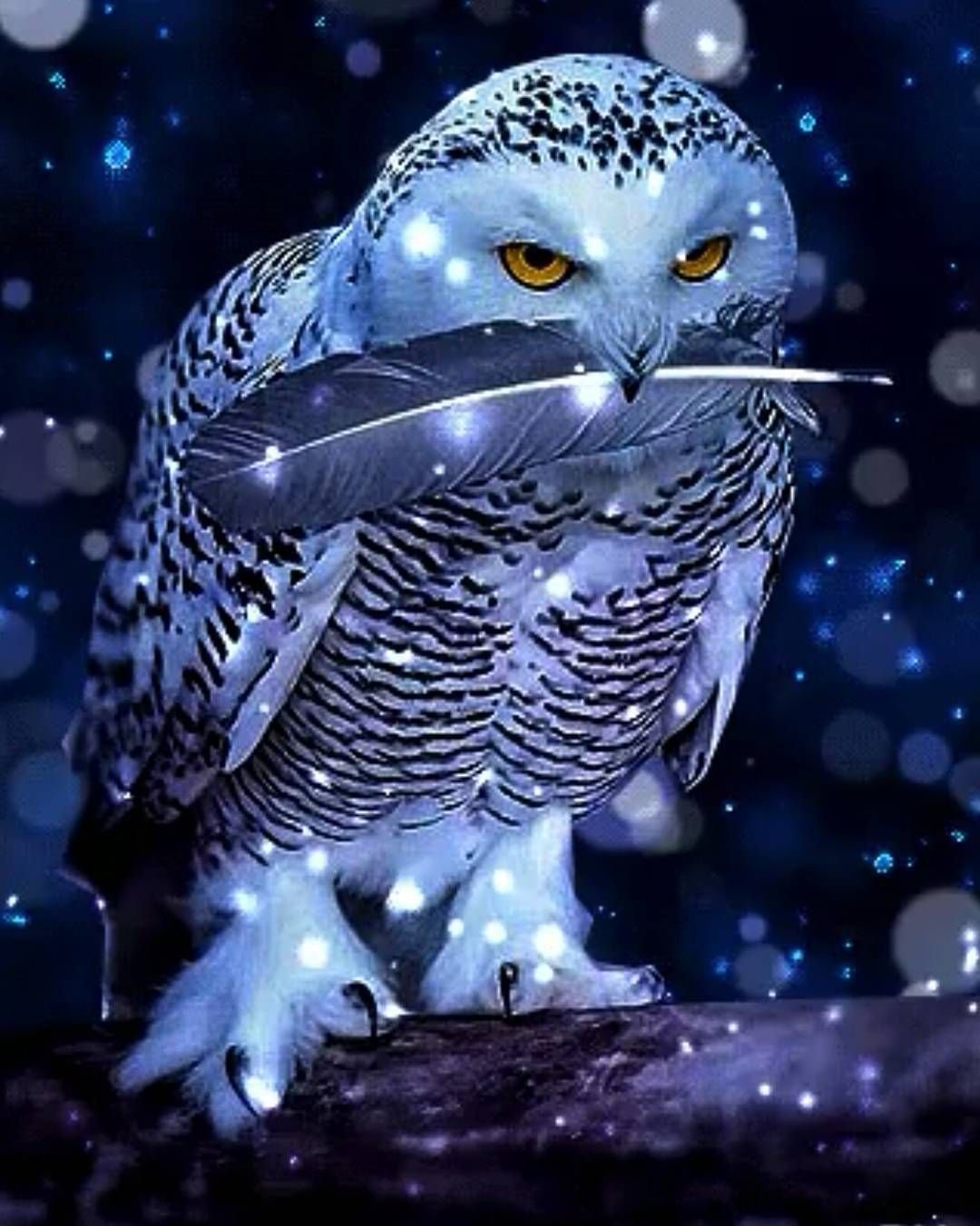 Сова сипуха Тотем