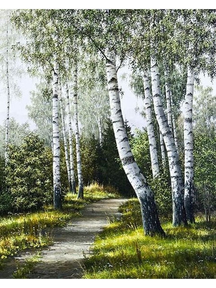 Художник Анищенко Владимир картины