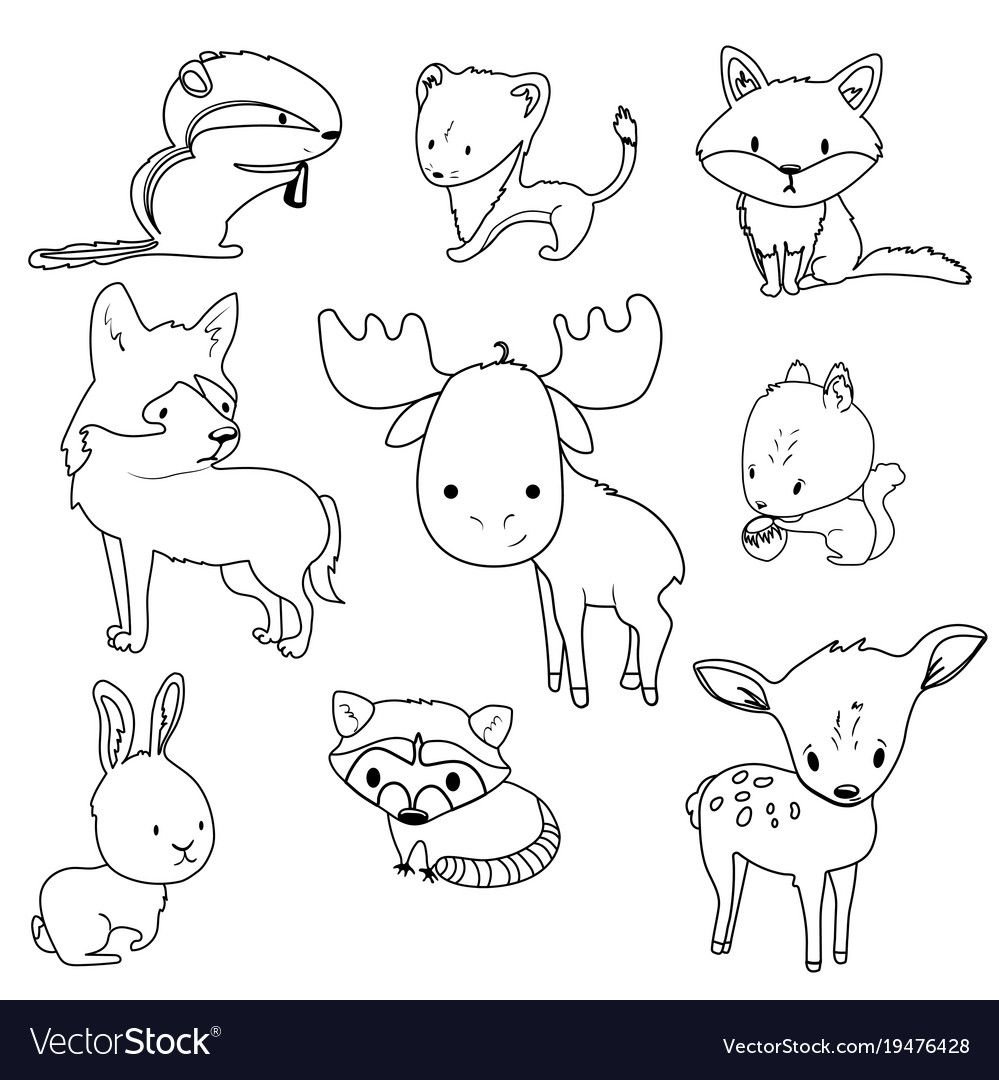 Раскраска антистресс такса