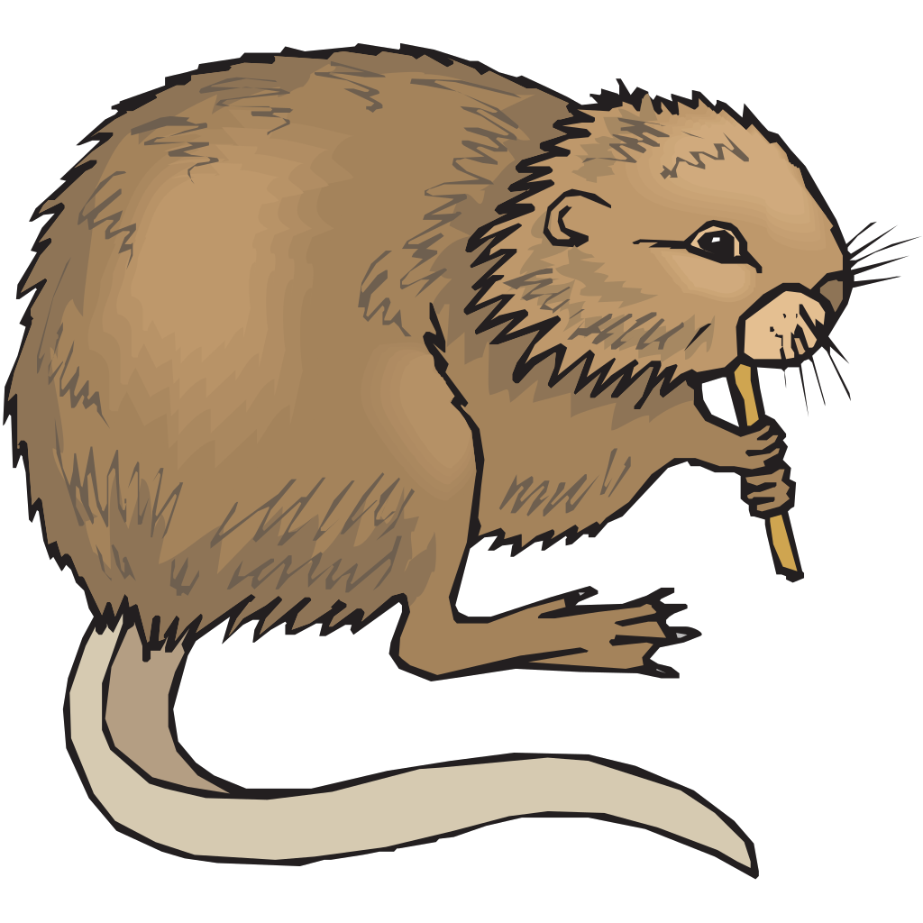 Выдра рисунок легкий