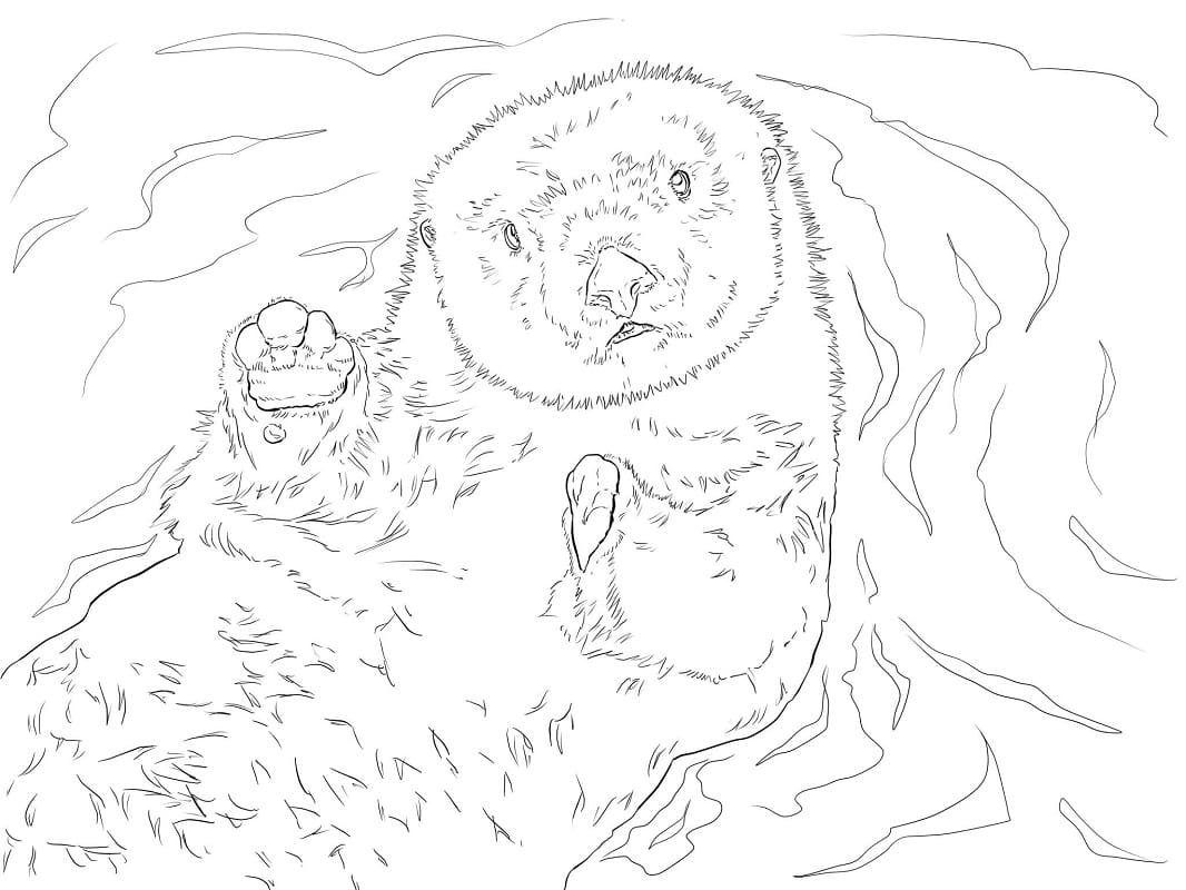 Ондатра раскраска