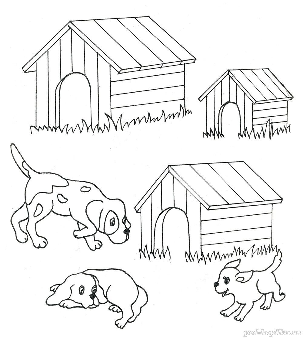 Раскраска конура для собаки