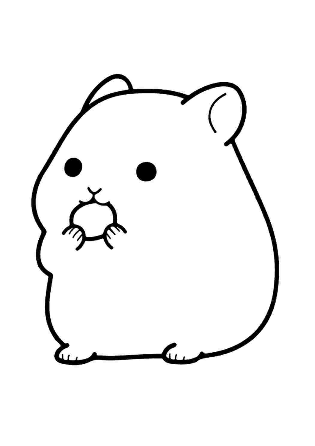 Раскраски хамтаро