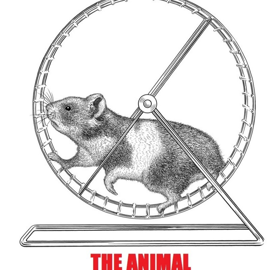 Хомячок раскраска распечатка