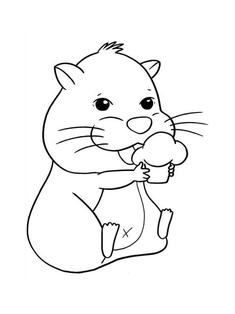 Раскраска хомяк в клетке