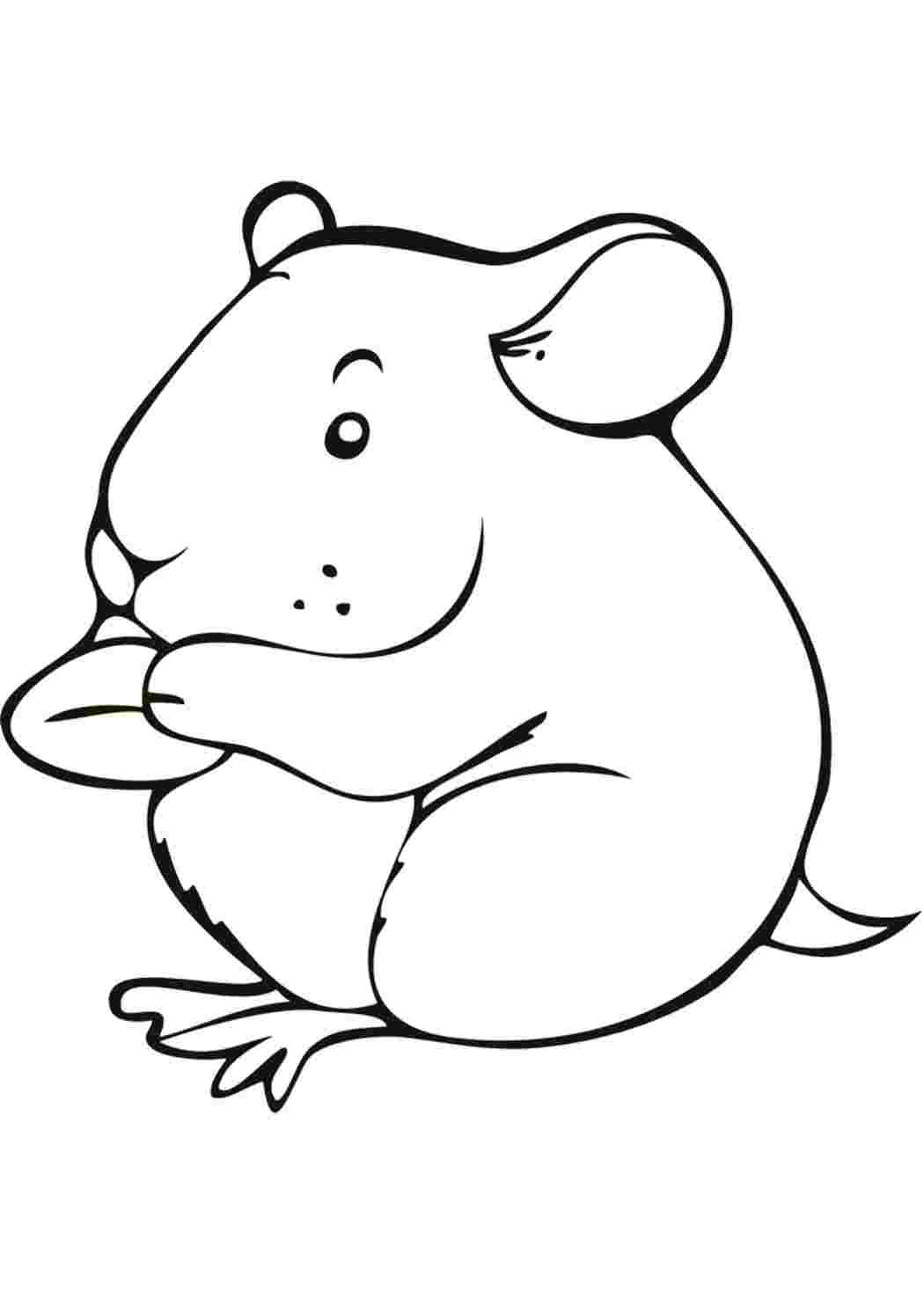 Хомяк рисунок раскраска
