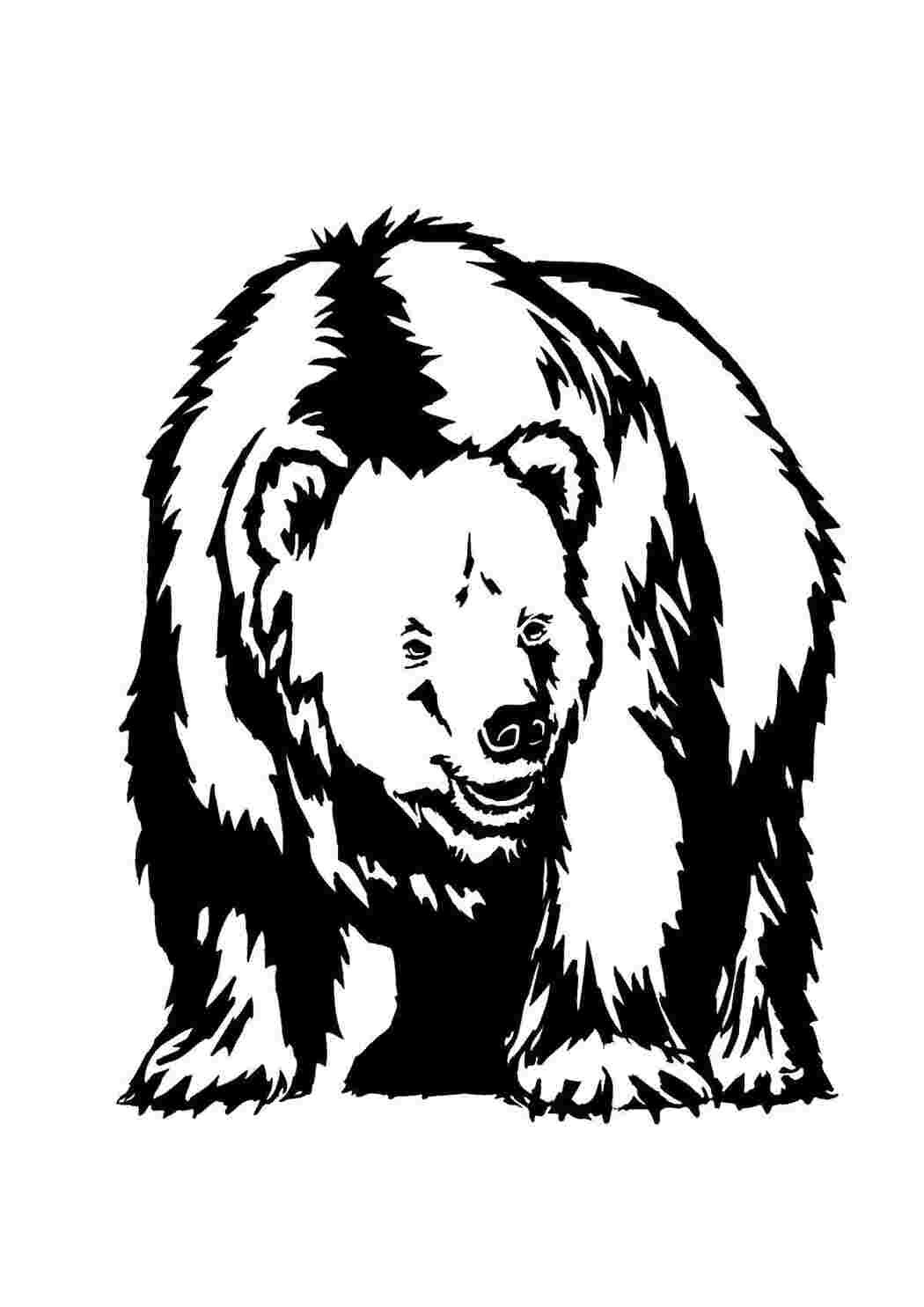 Пермский медведь раскраска