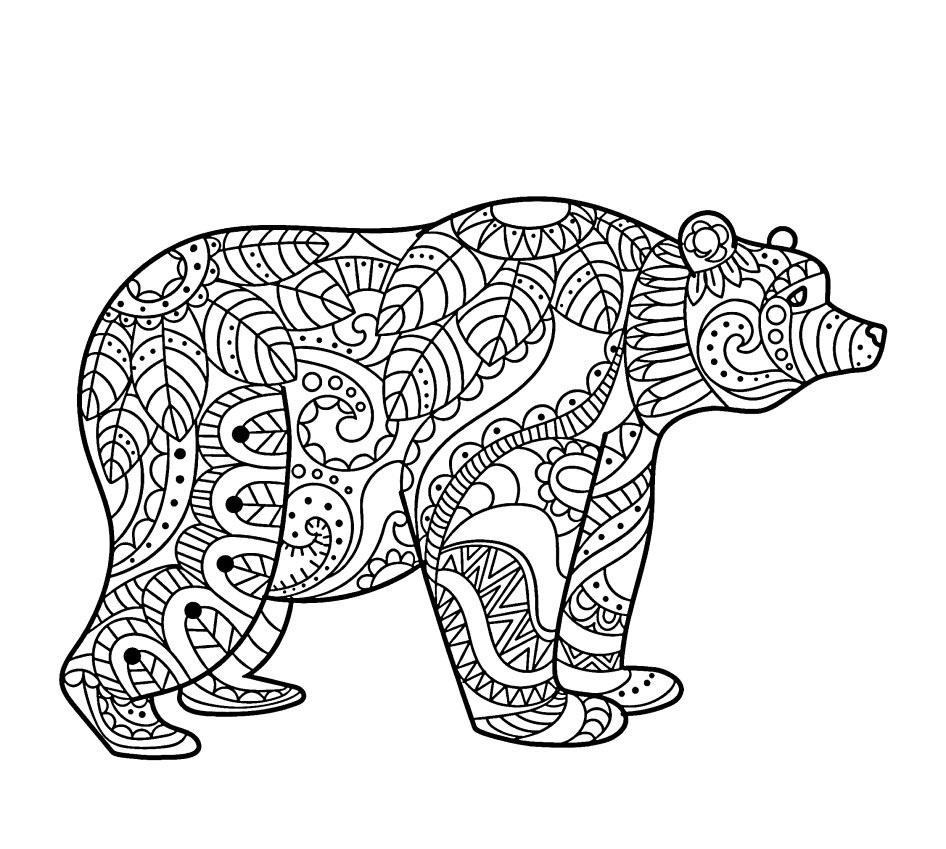 Мордочка медведя в круге